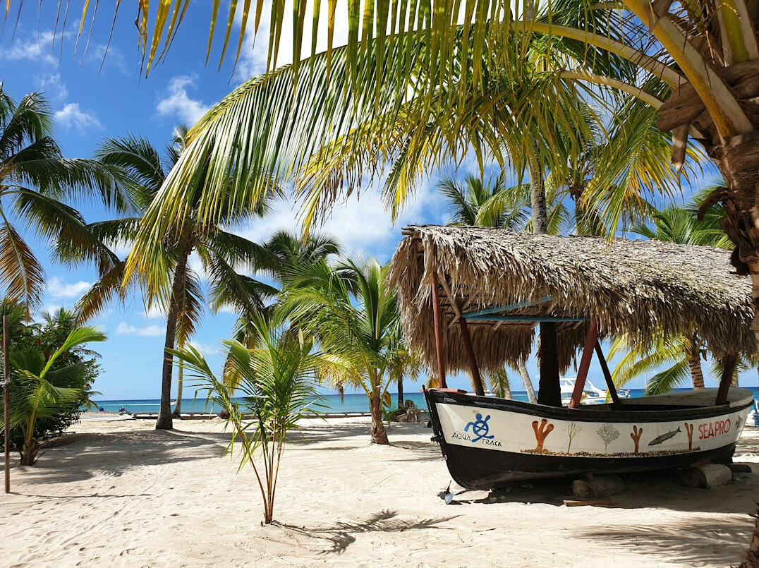 exotic tropical beach