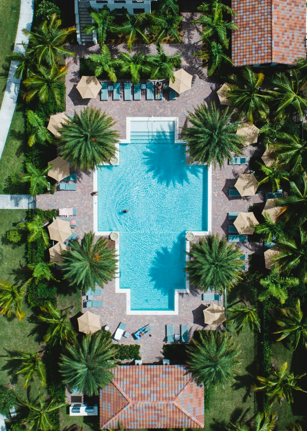 Holiday hotel with swimming pool surrounded by palm trees