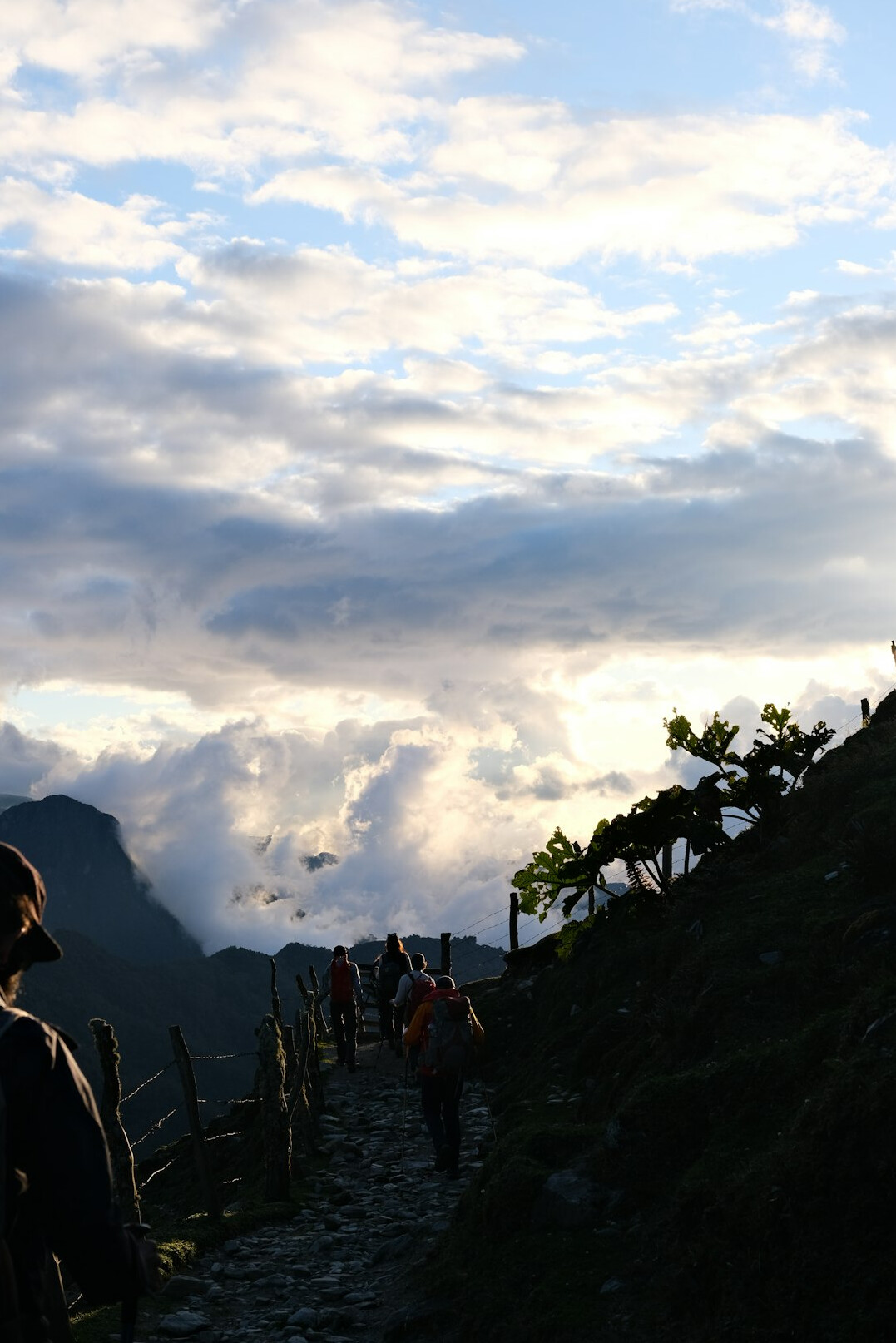 andes mountains hiking trail