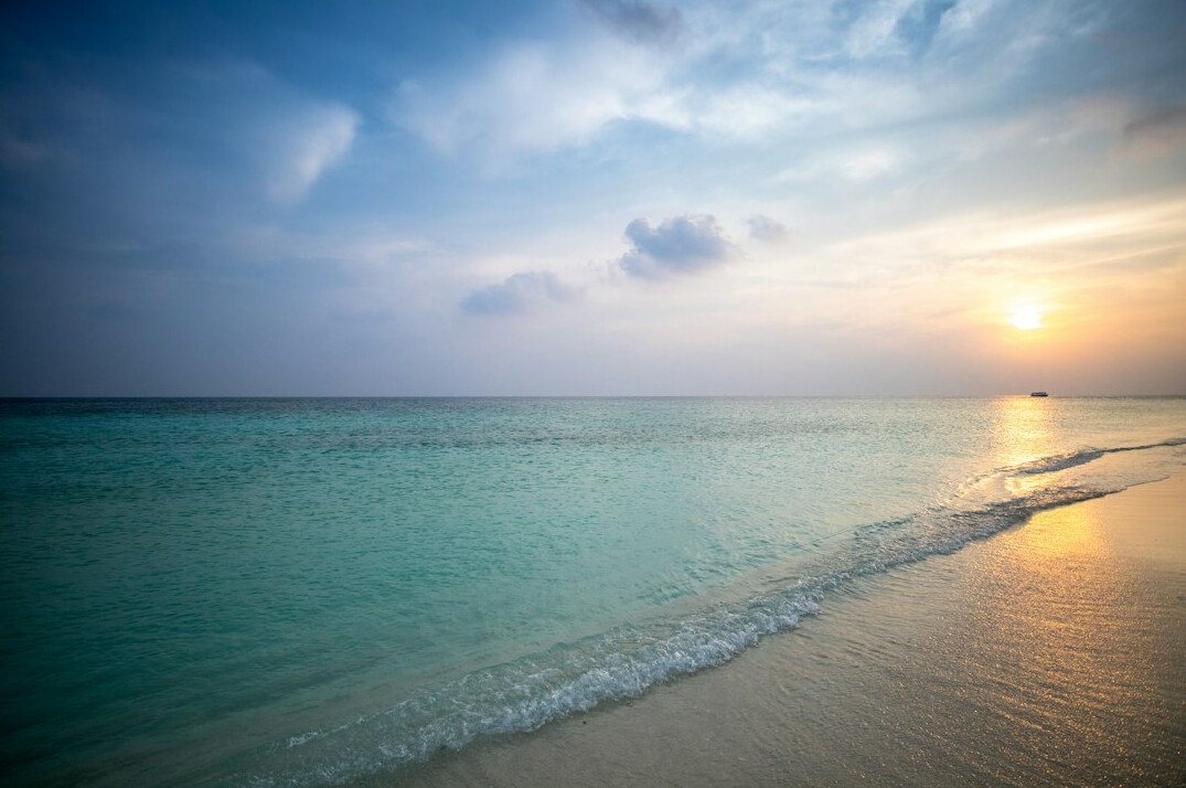 tropical beach sunset