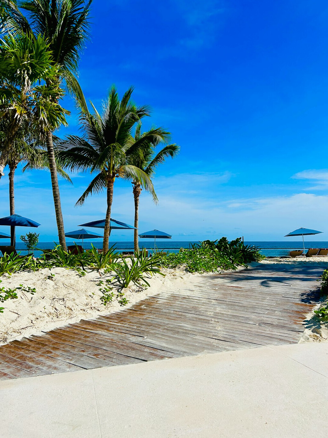 exotic island beach resort