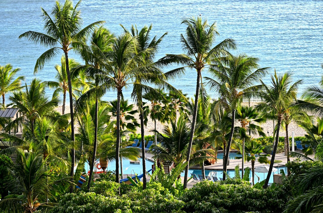 tropical beachfront hotel