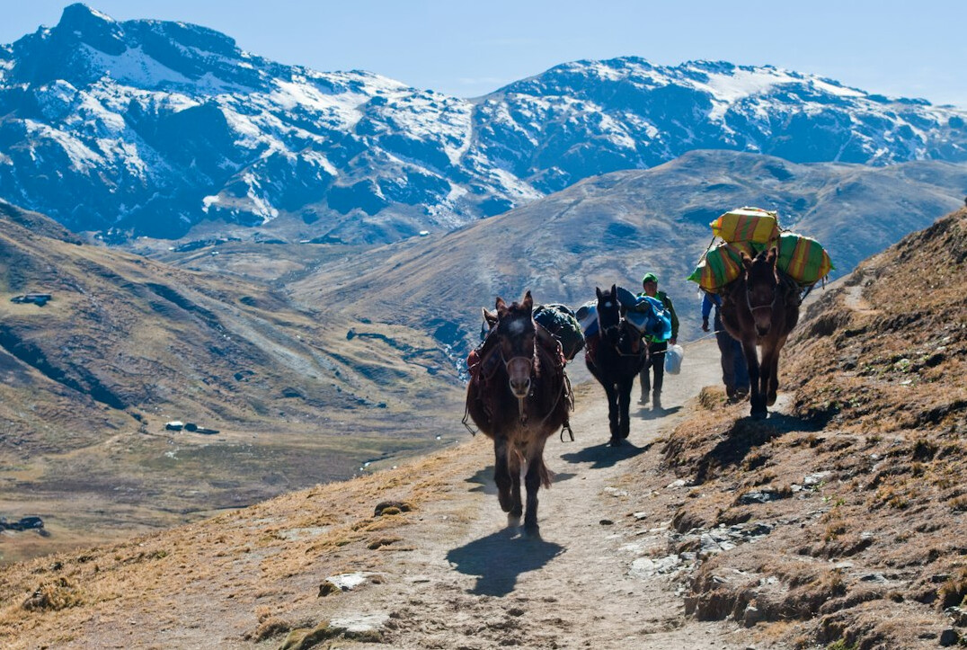 peru andes trek