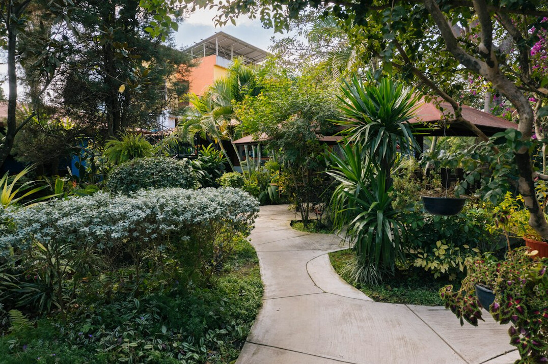 tropical resort garden