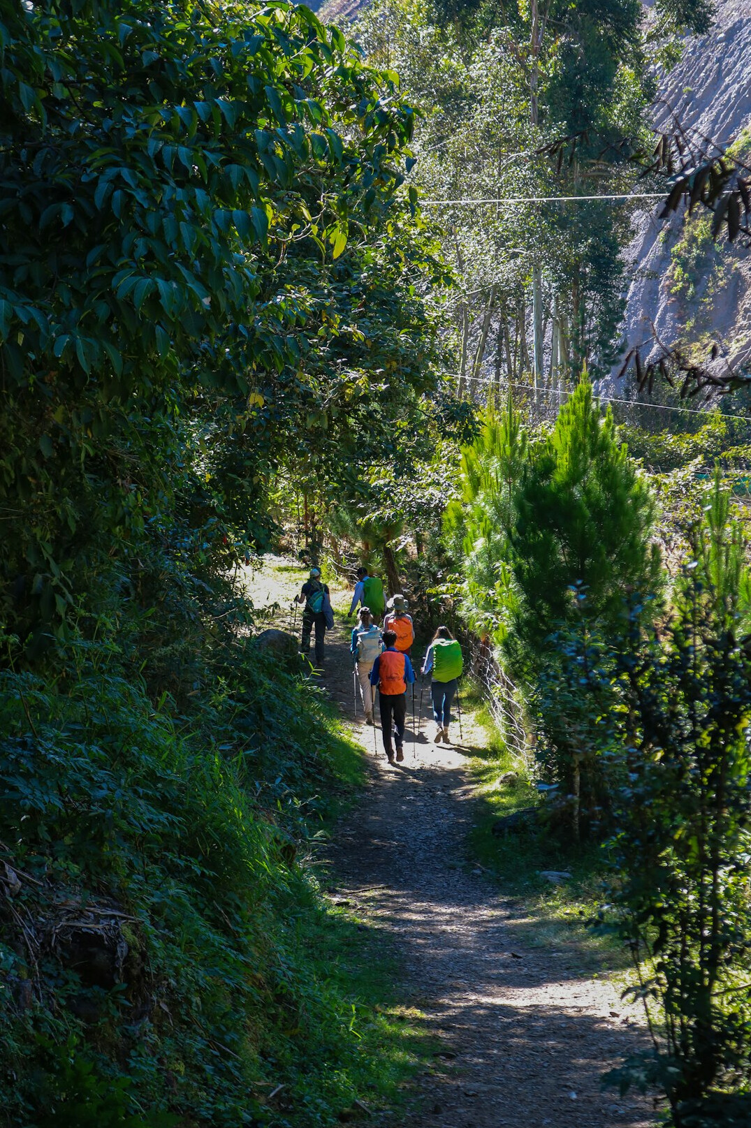 andes mountains hiking trail