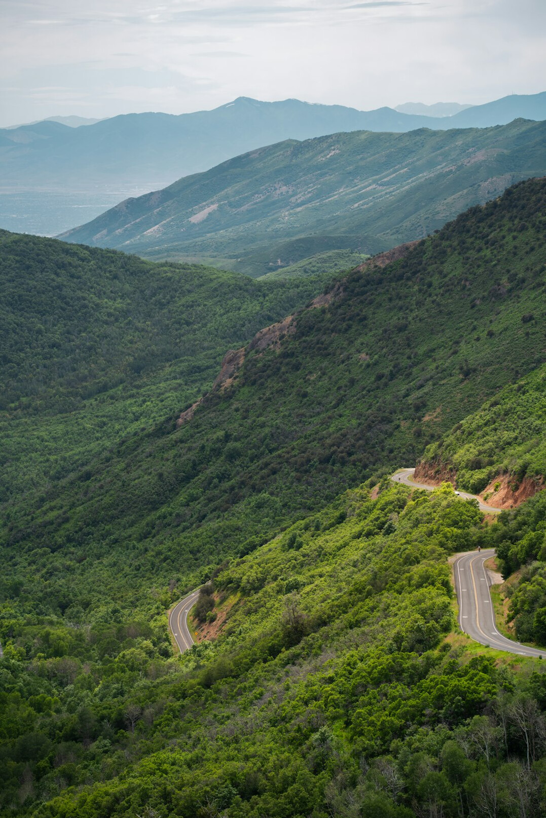 Winding road through green mountains on a summer road trip