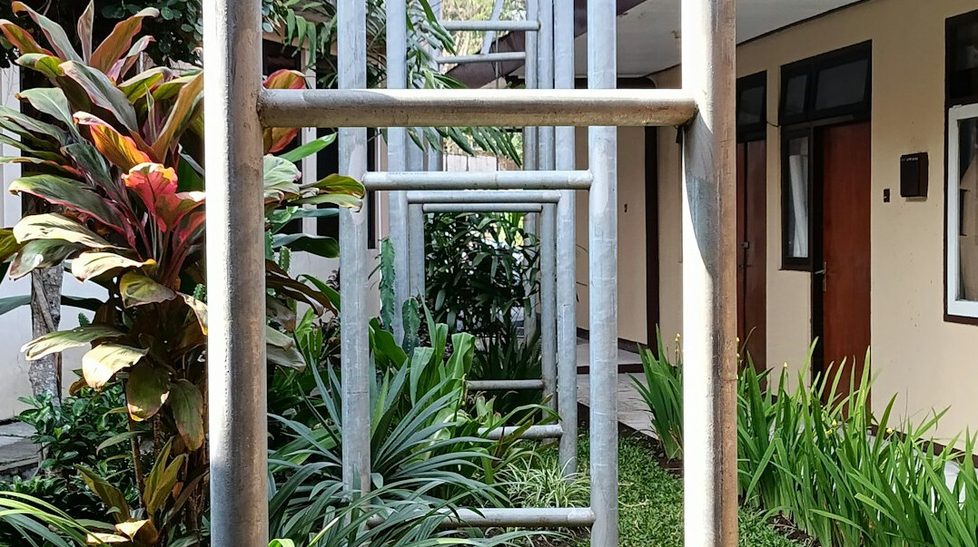 tropical budget hotel